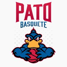 Pato Basquete Basketball