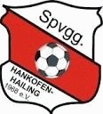 SpVgg Hankofen-Hailing Football