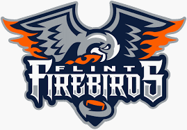 Flint Firebirds Hokej