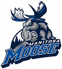 Manitoba Moose Hokej