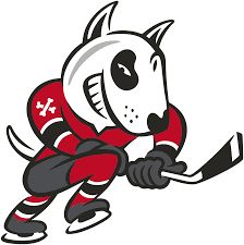 Niagara IceDogs Hokej