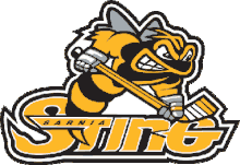 Sarnia Sting Hokej